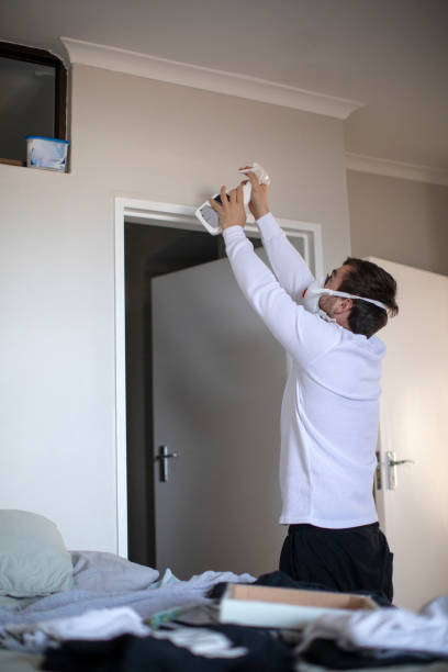 Best HVAC Mold Inspection and Cleaning  in Kenton, TN