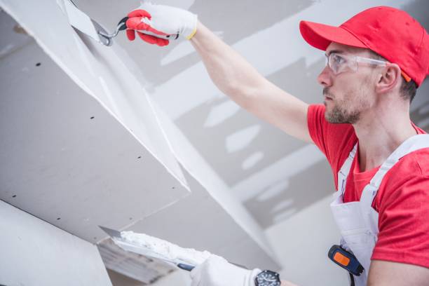 Mold Odor Removal Services in Kenton, TN
